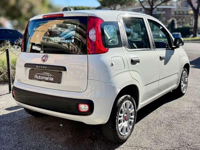 Fiat Panda 1.2 69cv PREZZOREALE\GARANZIA\PRONTACONSEGNA