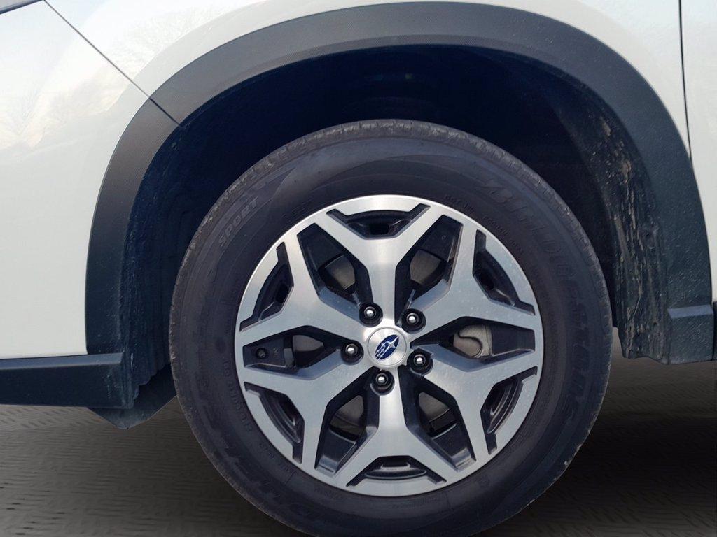 SUBARU Forester 2.0i e-boxer free lineartronic del 2024