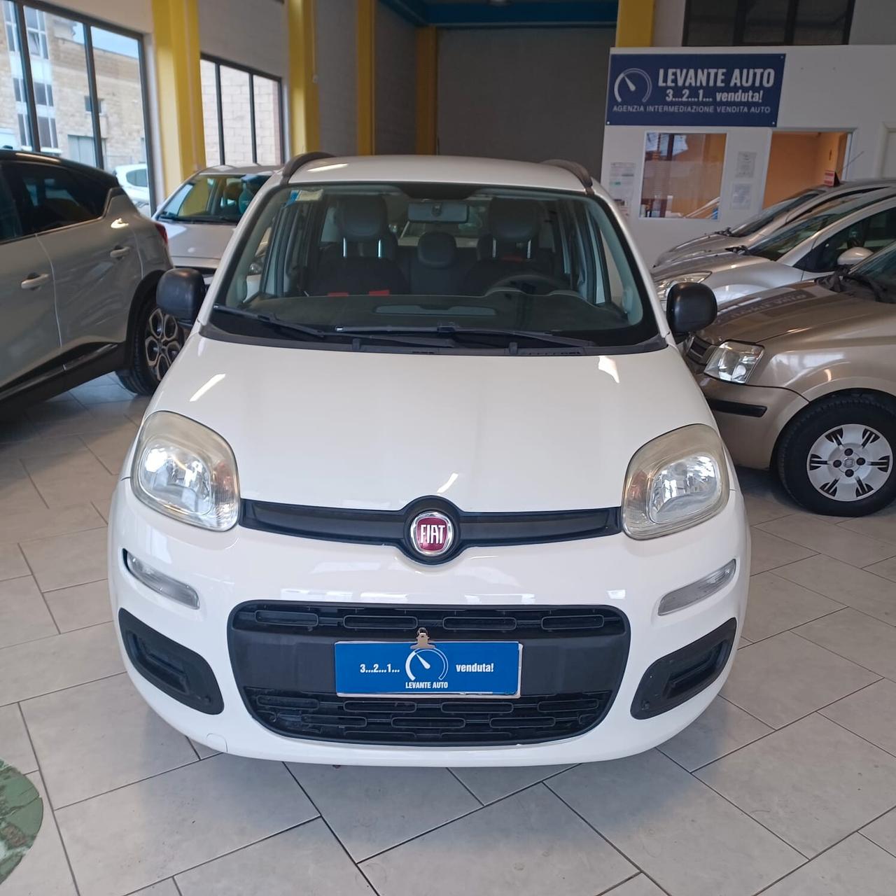 GARANZIA 12 MESI FIAT PANDA 1.2