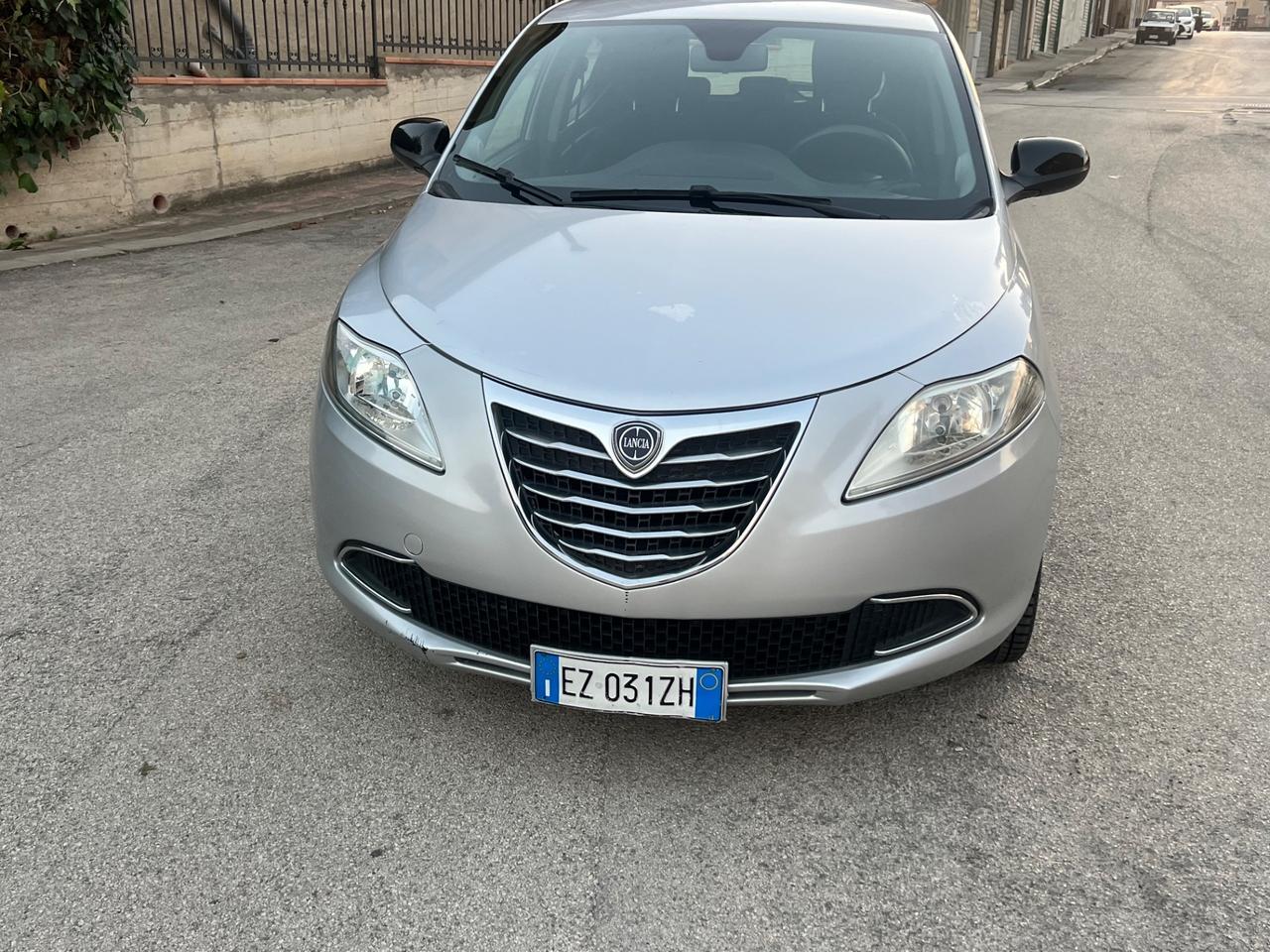 Lancia Ypsilon 1.3 MJT 16V 95 CV 5 porte S&S Elefantino