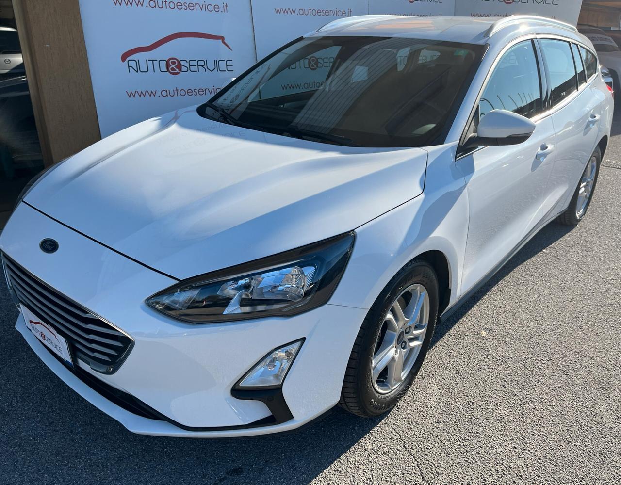 Ford Focus 1.5 EcoBlue 120 CV automatico SW Business Co-Pilot