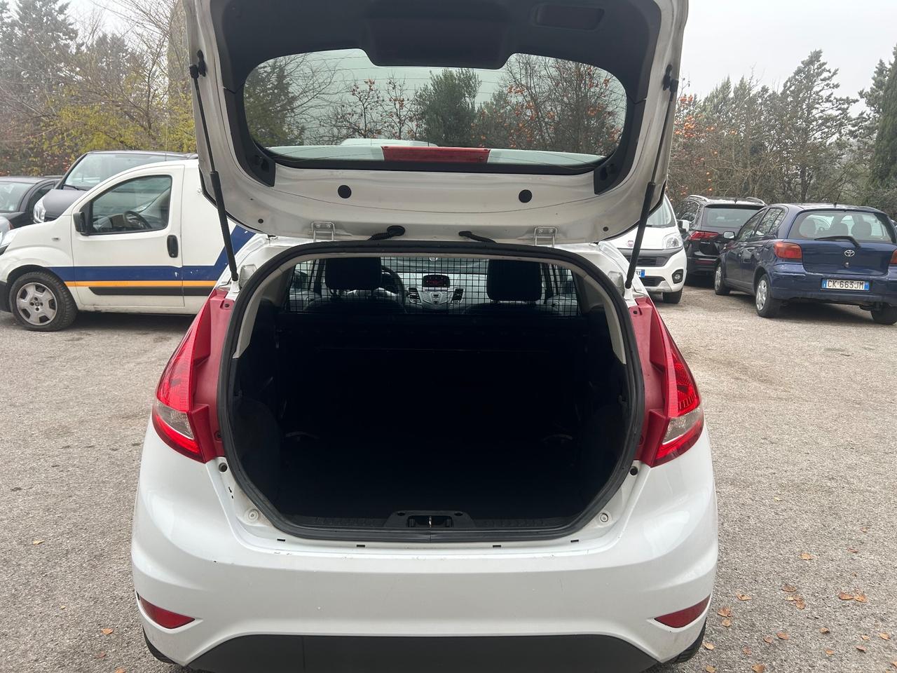 Ford Fiesta 1.4 TDCi 68CV 3 porte Van N1