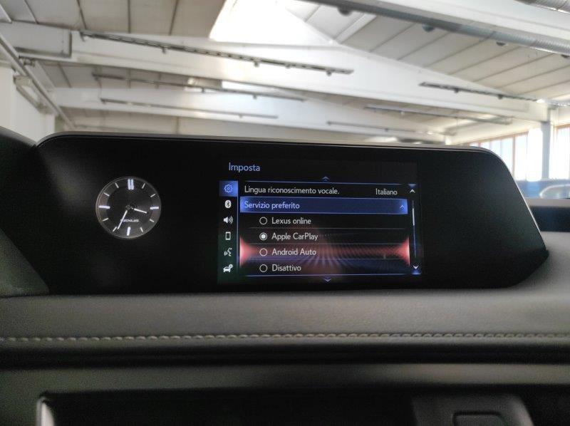 LEXUS UX - UX Hybrid Business