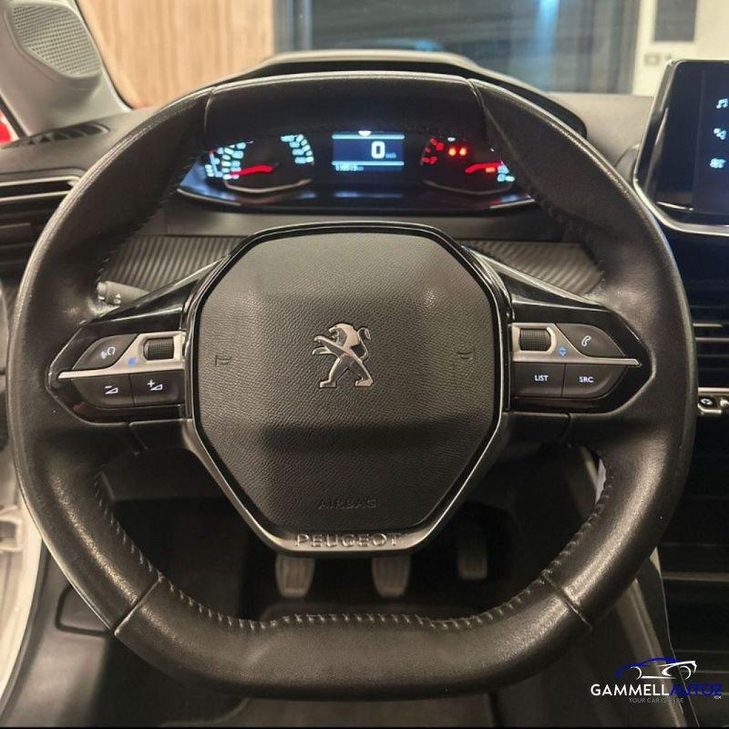 Peugeot 208 BlueHDi 100 Stop&Start 5 porte Active