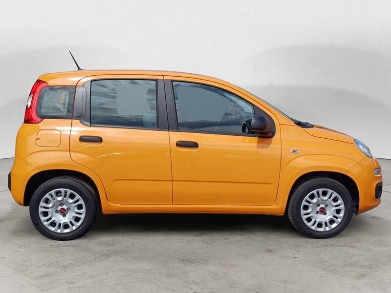 FIAT Panda 1.2 69 CV S&S Easy