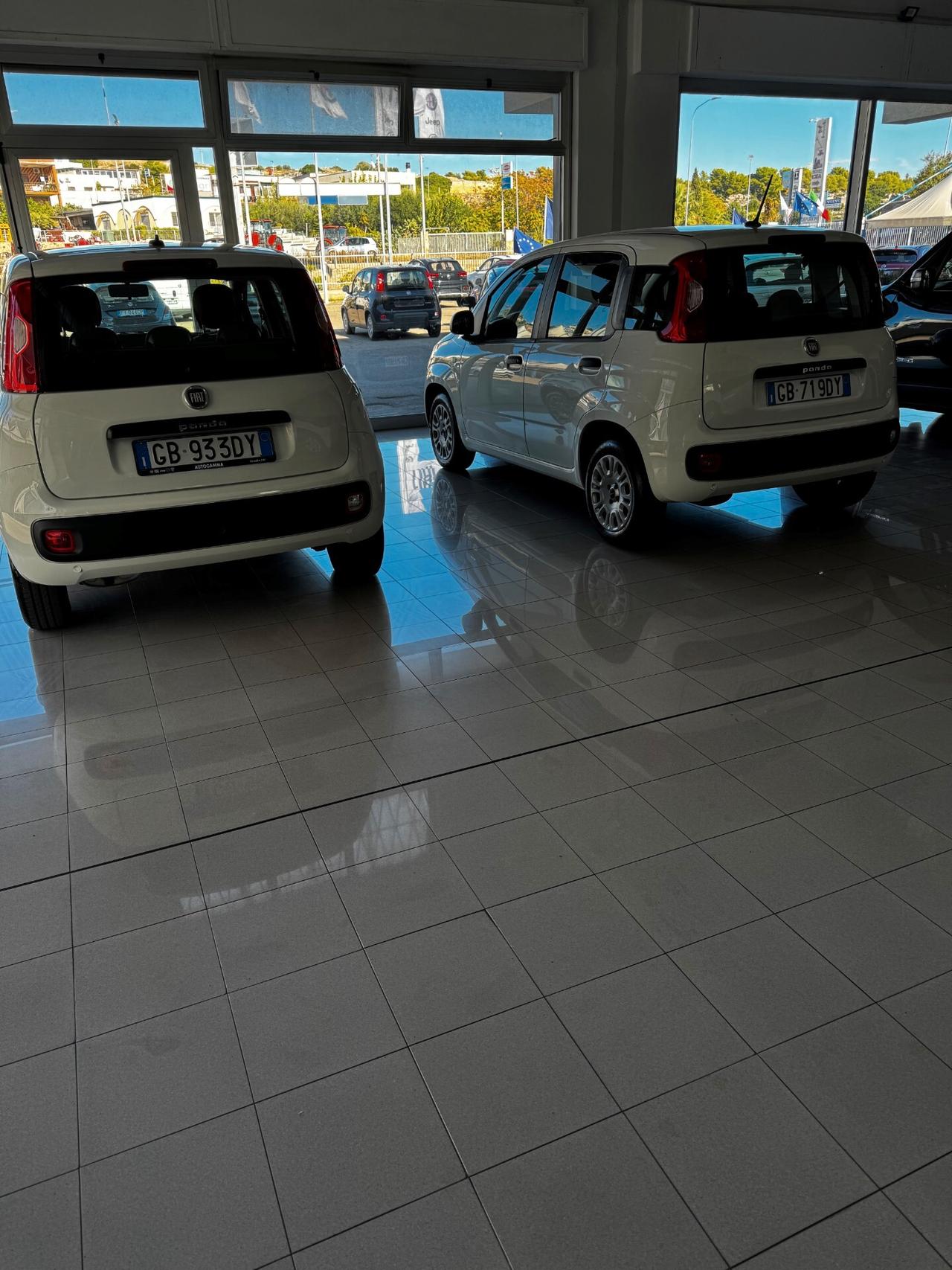 DISPONIBILE 10 FIAT - PANDA 1.2 -BZ FULL OTIONAL