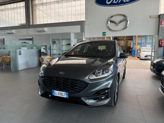 FORD Kuga 1.5 EcoBlue 120 CV AUT 2WD ST-Line