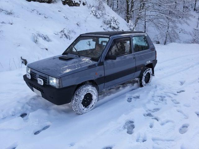 FIAT Panda 1ª serie 1000 4x4 Trekking