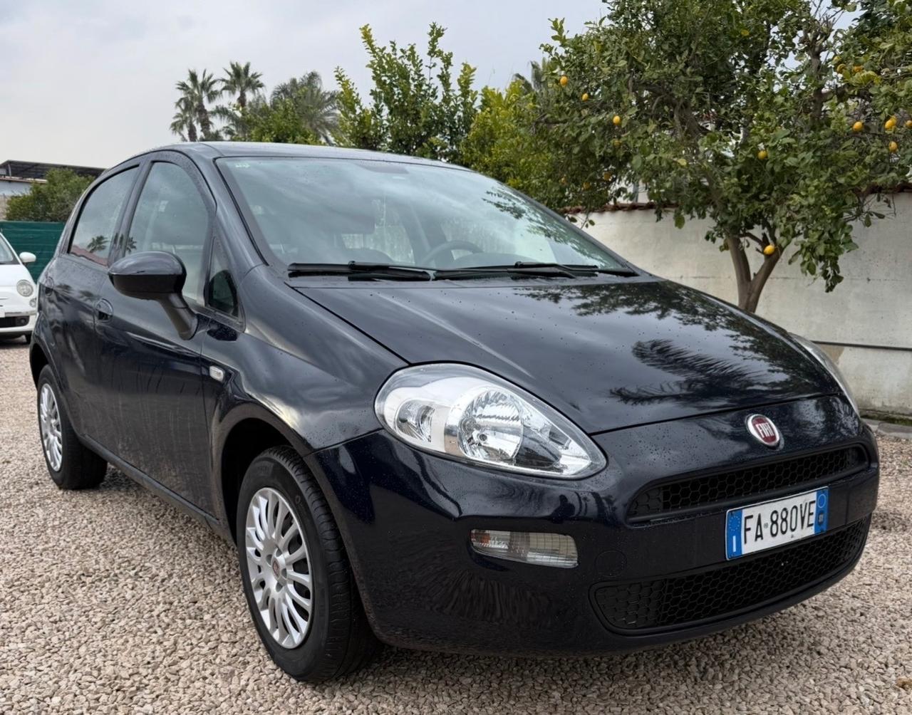 Fiat Punto 1.4 8V 5 porte Natural Power Street