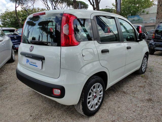 FIAT Panda 1.2 Easy GPL CLIMATIZZATORE OK NEOPATENTATI