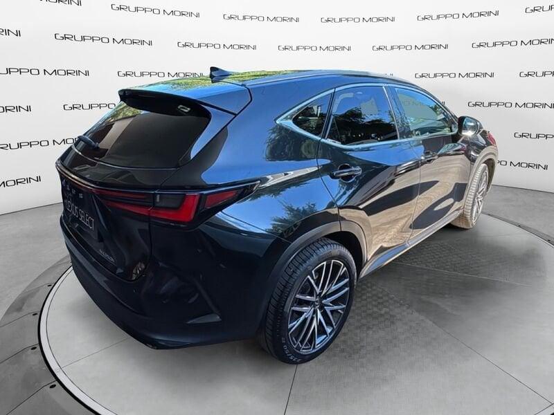 Lexus NX Hybrid Luxury 4WD MY22