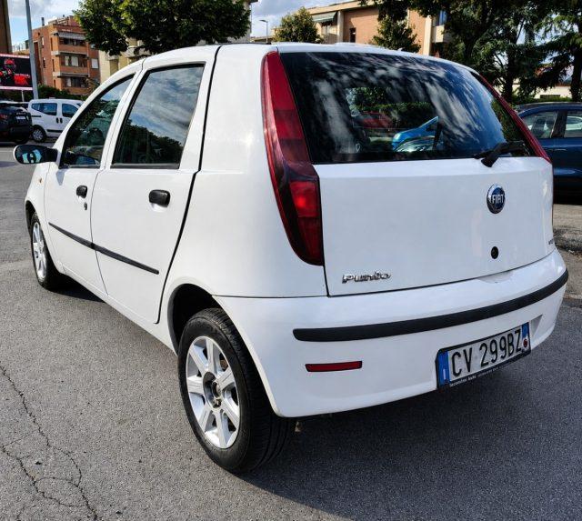 FIAT Punto 1.3 Multijet 16V 5 porte Dynamic Ok Neopatentati