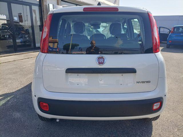 FIAT Panda 1.0 FireFly S&S Hybrid PREZZO REALE