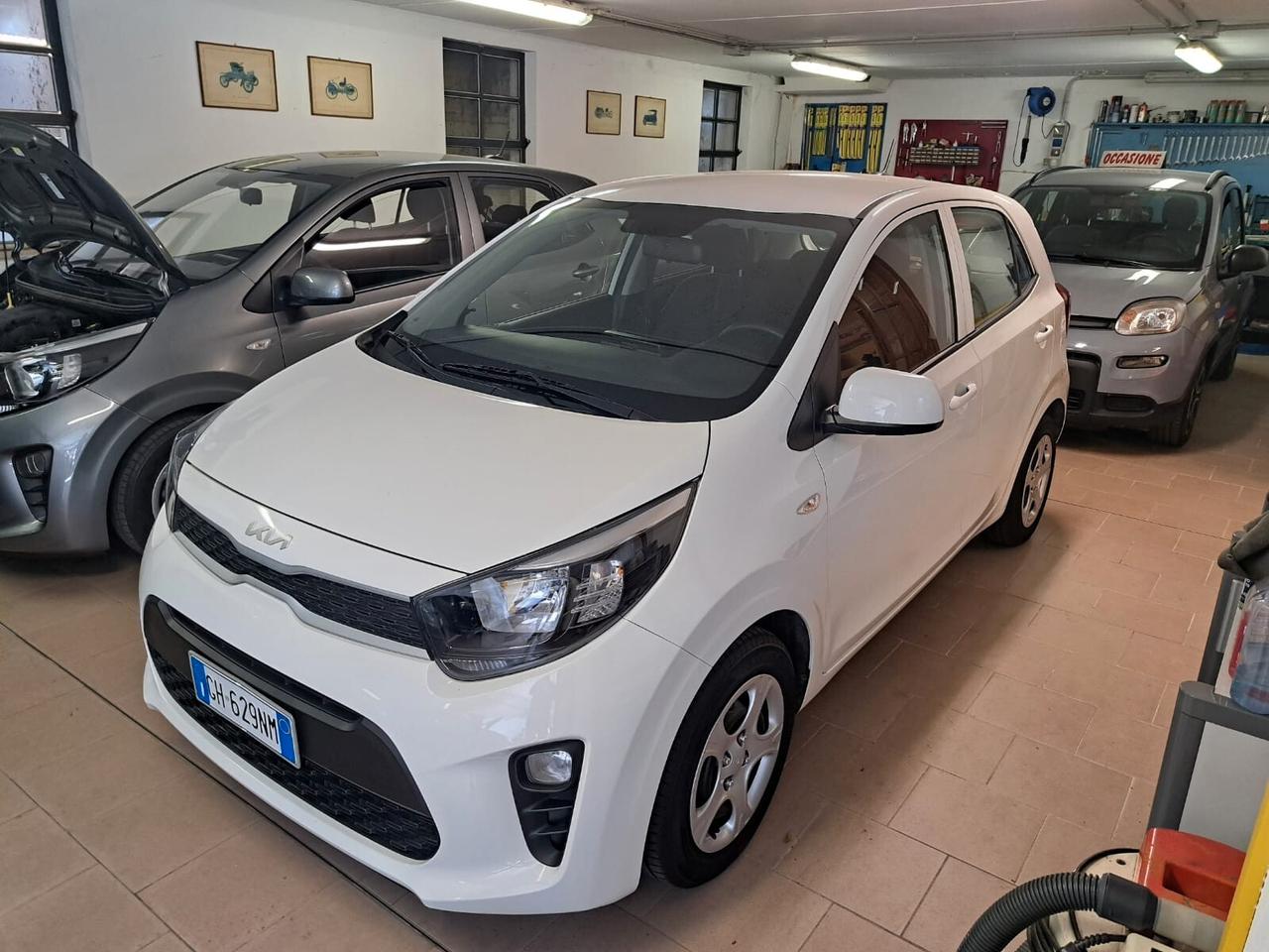 Kia Picanto 1.0 12V 5 porte Urban