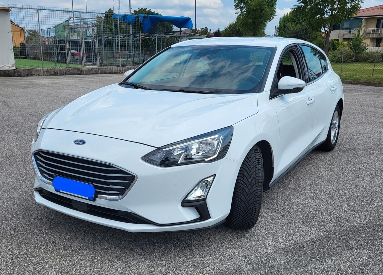 Ford Focus 1.5 EcoBlue 120 CV automatico 5p. Business Co-Pilot