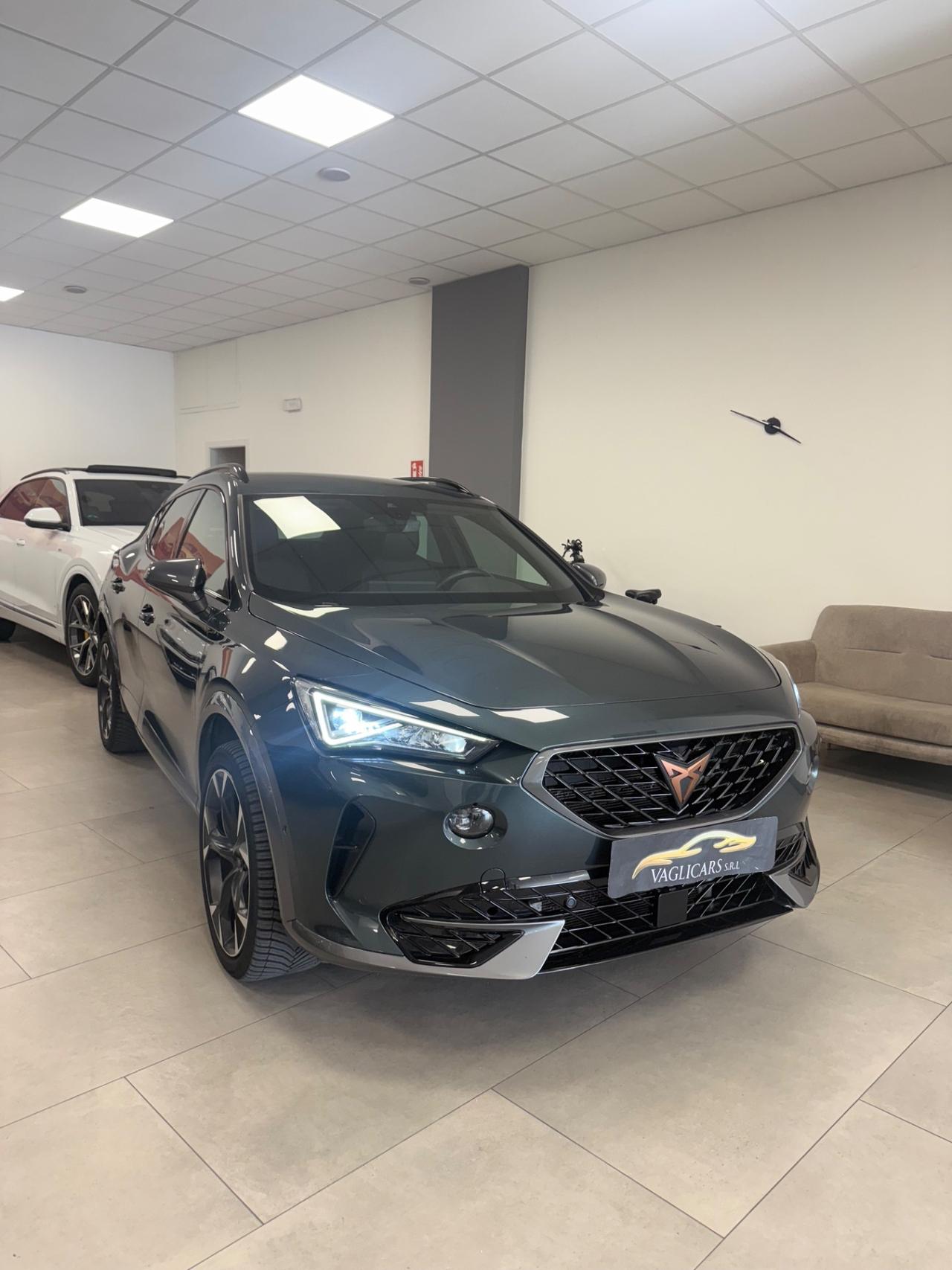 Cupra Formentor 2.0 TDI 4Drive DSG