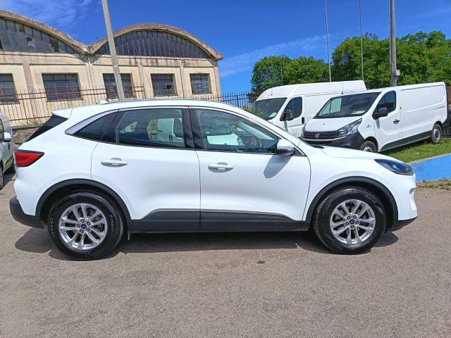 FORD Kuga 1.5 EcoBlue 120 CV aut. 2WD Titanium Business
