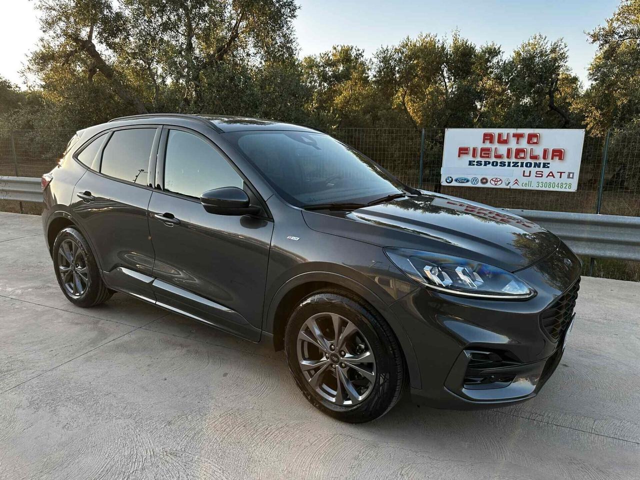 Ford Kuga 2.0 EcoBlue full Hybrid 150CV ST-Line