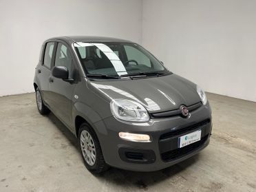 FIAT Panda III 2021 - Panda 1.0 firefly hybrid s&s 70cv 5p.ti