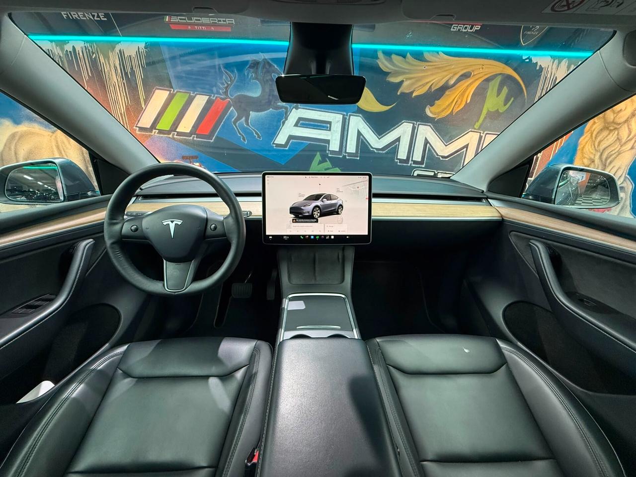 Tesla Model Y Long Range ADW (337)