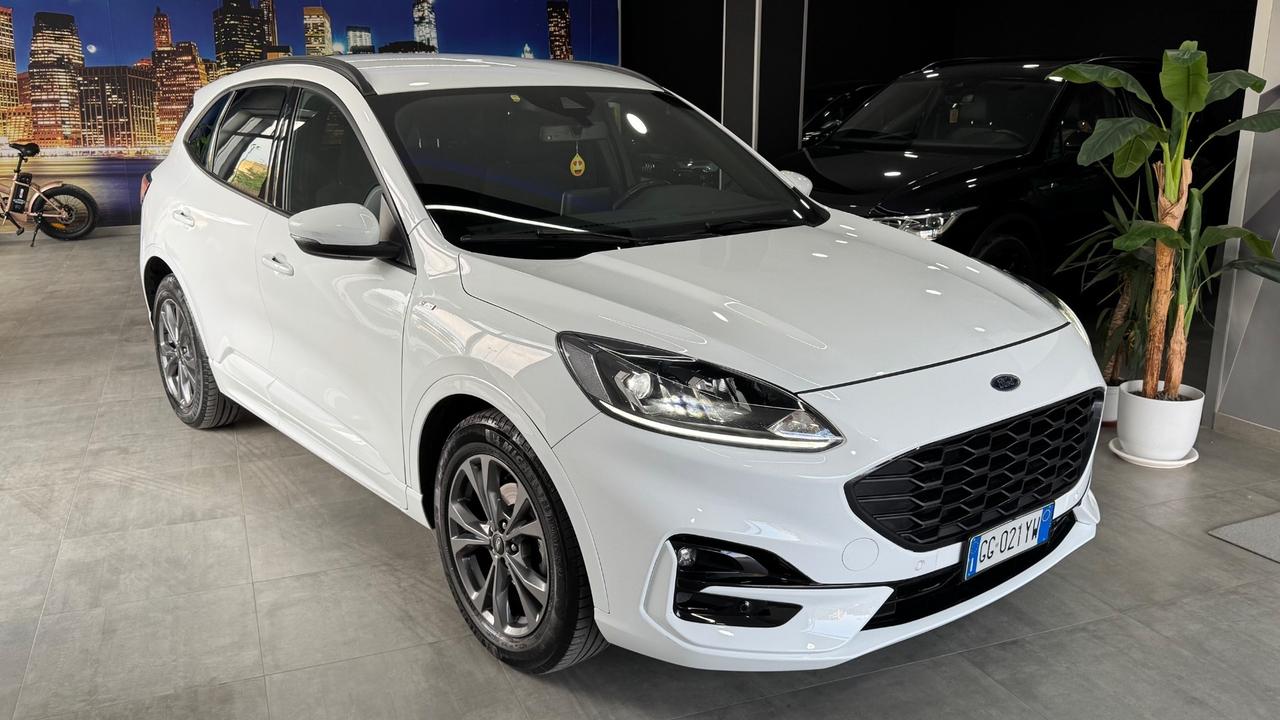 Ford Kuga 1.5 EcoBlue 120 CV 2WD ST-Line X-2021