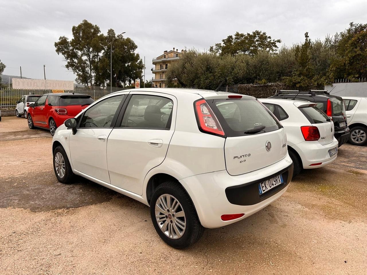 Fiat Punto Evo Punto Evo 1.4 5 porte Dynamic Natural Power