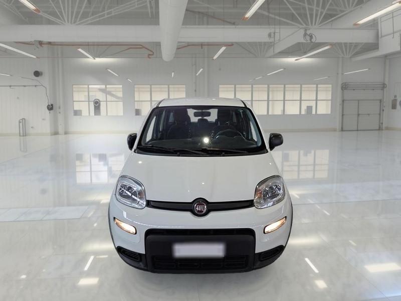FIAT PANDA 1.0 FireFly 70cv S/S Hybrid