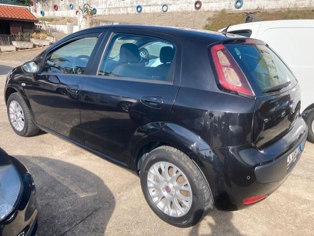 Fiat Punto Evo Punto Evo 1.4 5 porte Active GPL