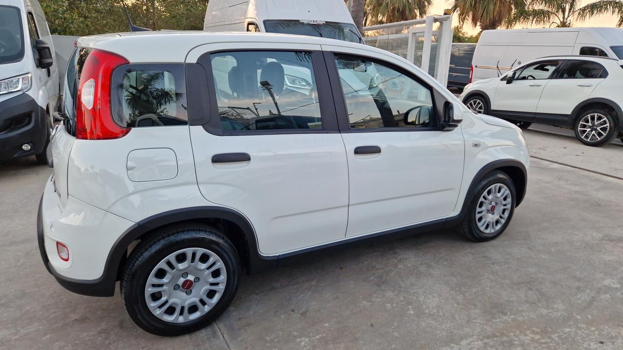 Fiat Panda Cross 1.0 FireFly 70 CV S&S Hybrid