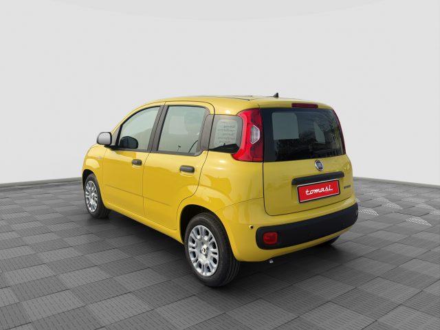 FIAT Panda Pandina 1.0 FireFly 65 CV Hybrid Pop