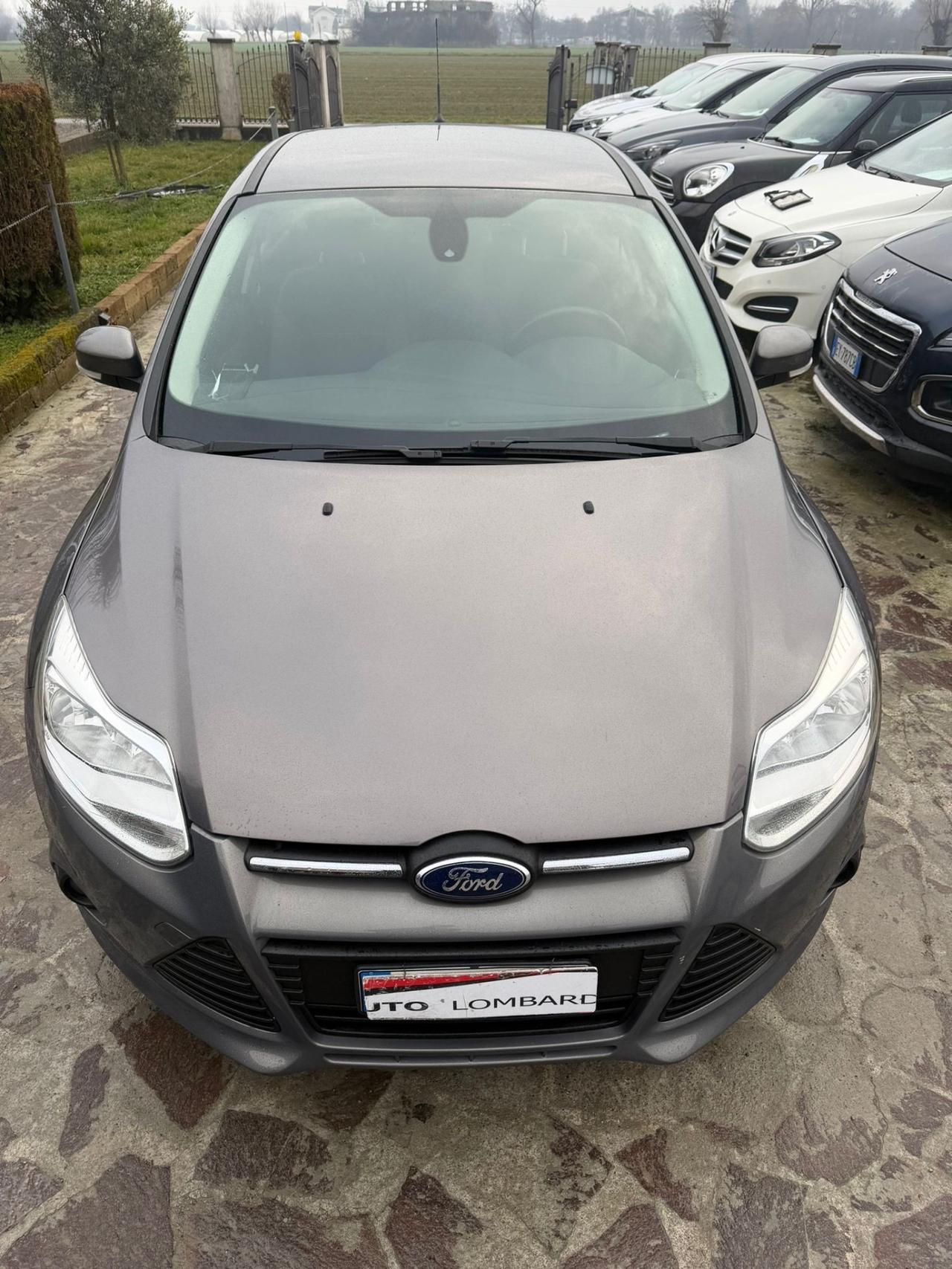 Ford Focus 1.6 TDCi 115 CV Individual neopatentati