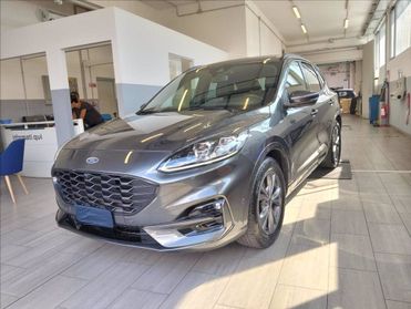 FORD Kuga 1.5 ecoblue ST-Line X 2wd 120cv auto del 2022