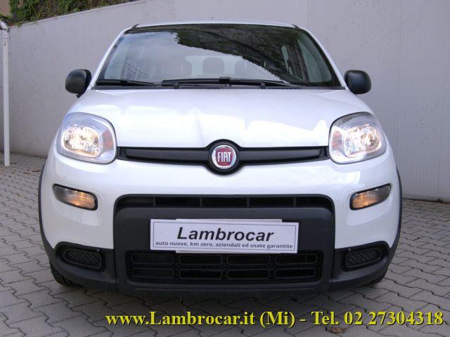 FIAT Panda 1.0 FireFly S&S Hybrid 70cv