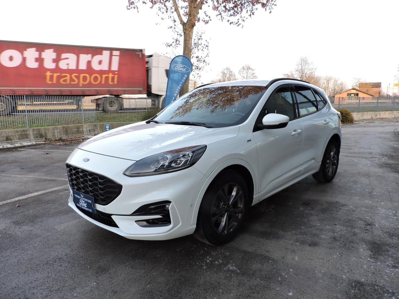 Ford Kuga 2.0 EcoBlue Hybrid 150 CV 2WD ST-Line X