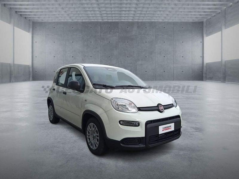 FIAT Panda Panda 1.0 70cv Hybrid Panda