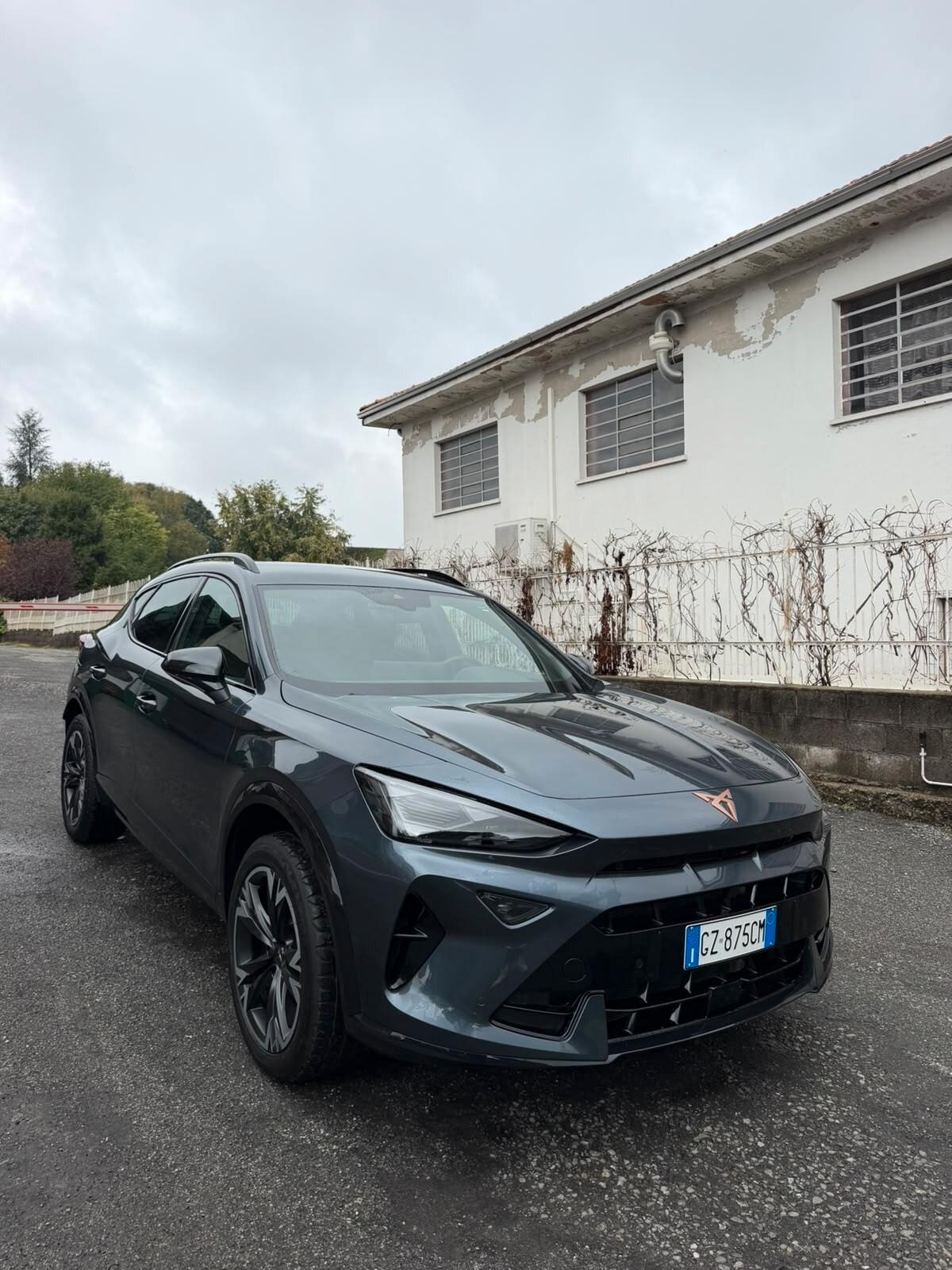 Cupra Formentor 2.0 TDI DSG TRIBE EDITION