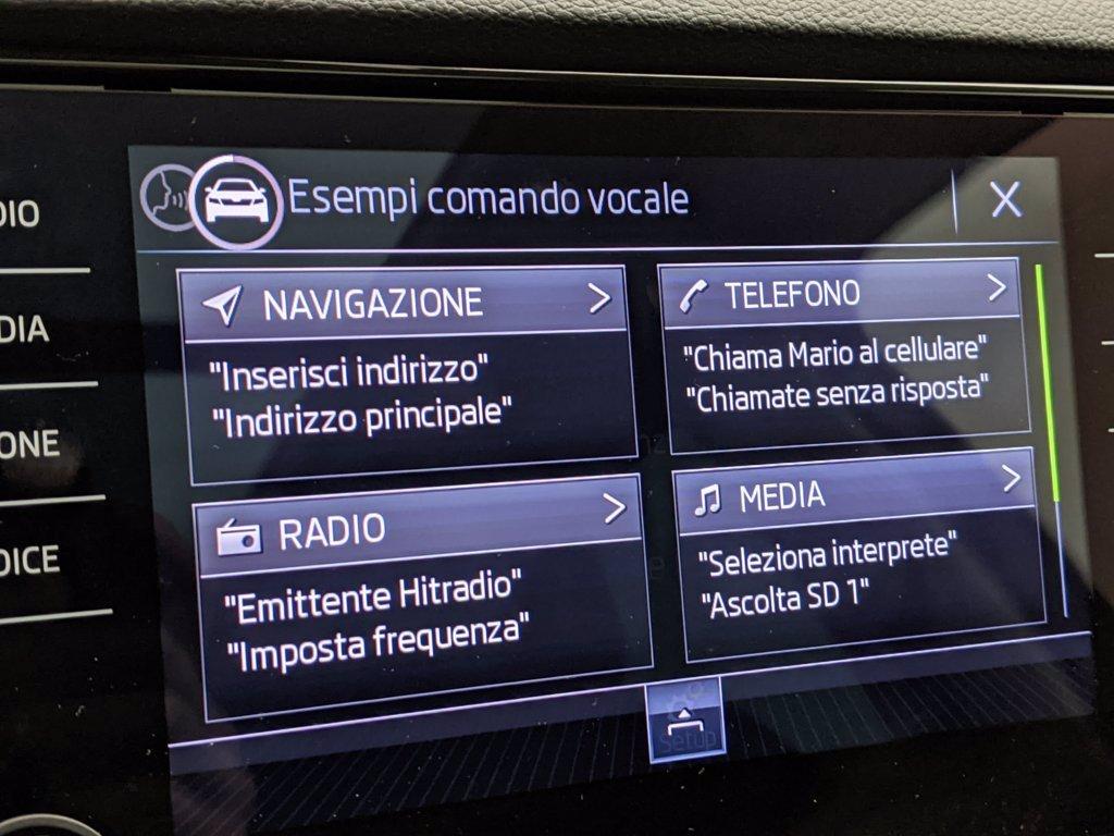 SKODA Karoq 2.0 TDI SCR 4x4 DSG SportLine del 2019