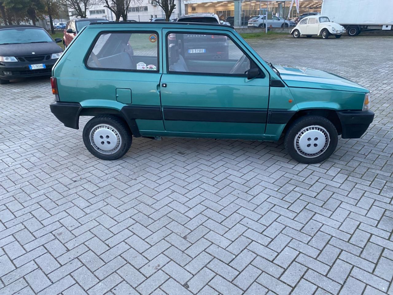 Fiat Panda 1100 i.e. cat Young