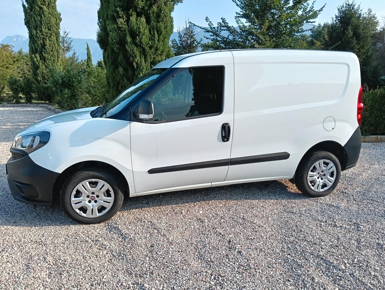 Fiat Doblo1.3 MJT S&S PC-TN Cargo Easy