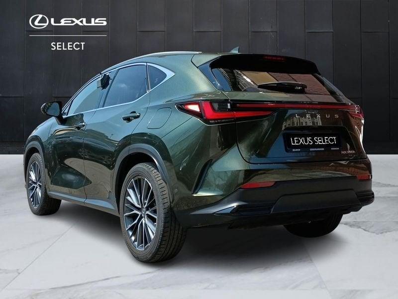 Lexus NX Hybrid Luxury 4WD MY22