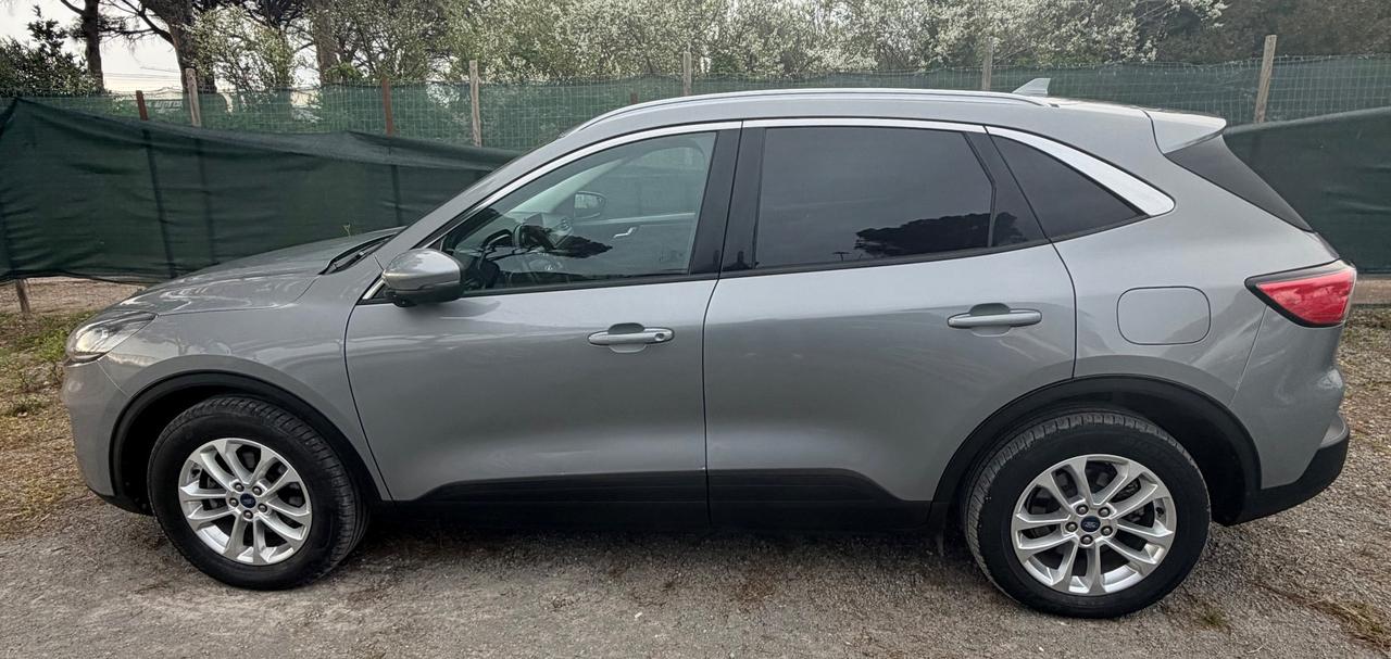 Ford Kuga 1.5 EcoBlue 120 CV aut. 2WD Connect