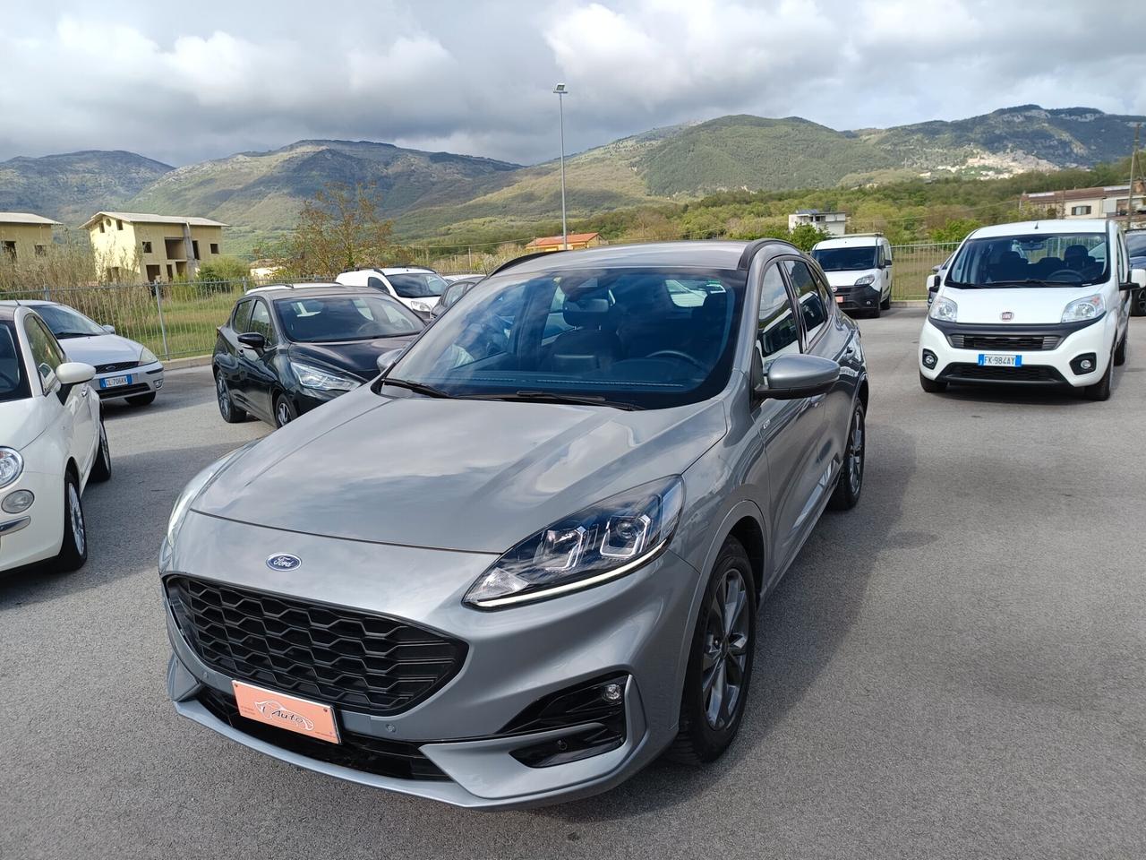 Ford Kuga 2.0 EcoBlue 120 CV aut. 2WD ST-Line