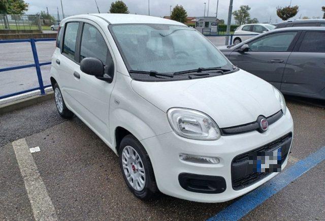 FIAT Panda 1.2 Easy AUTOVETTURA