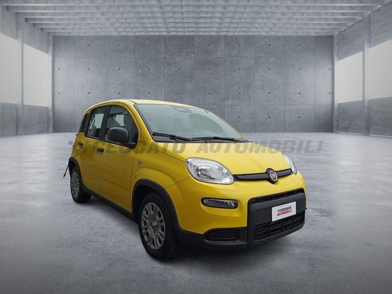 FIAT Panda 1.0 70cv Hybrid Panda