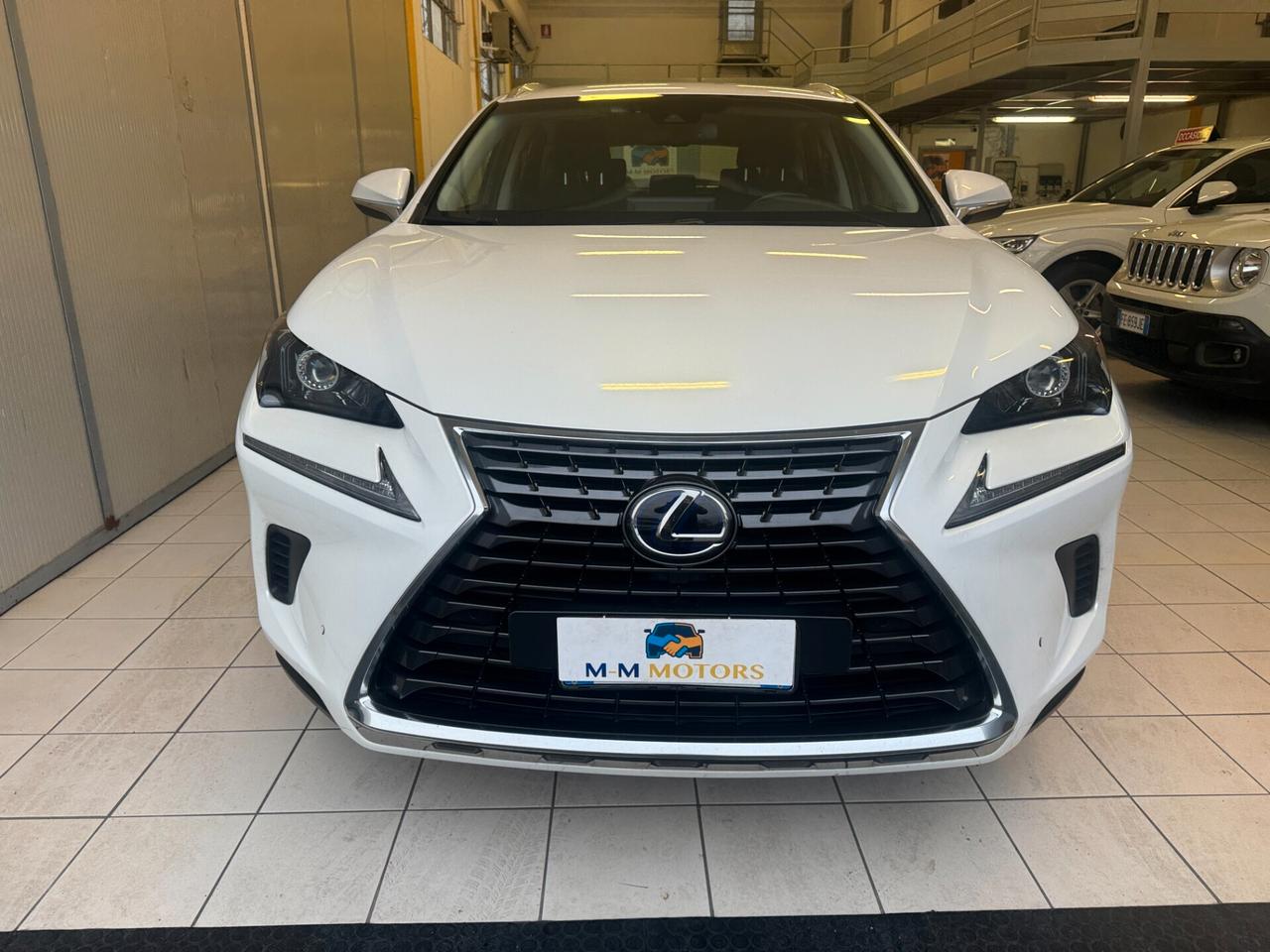 Lexus NX 300h hybrid 2.5 Business 2wd cvt