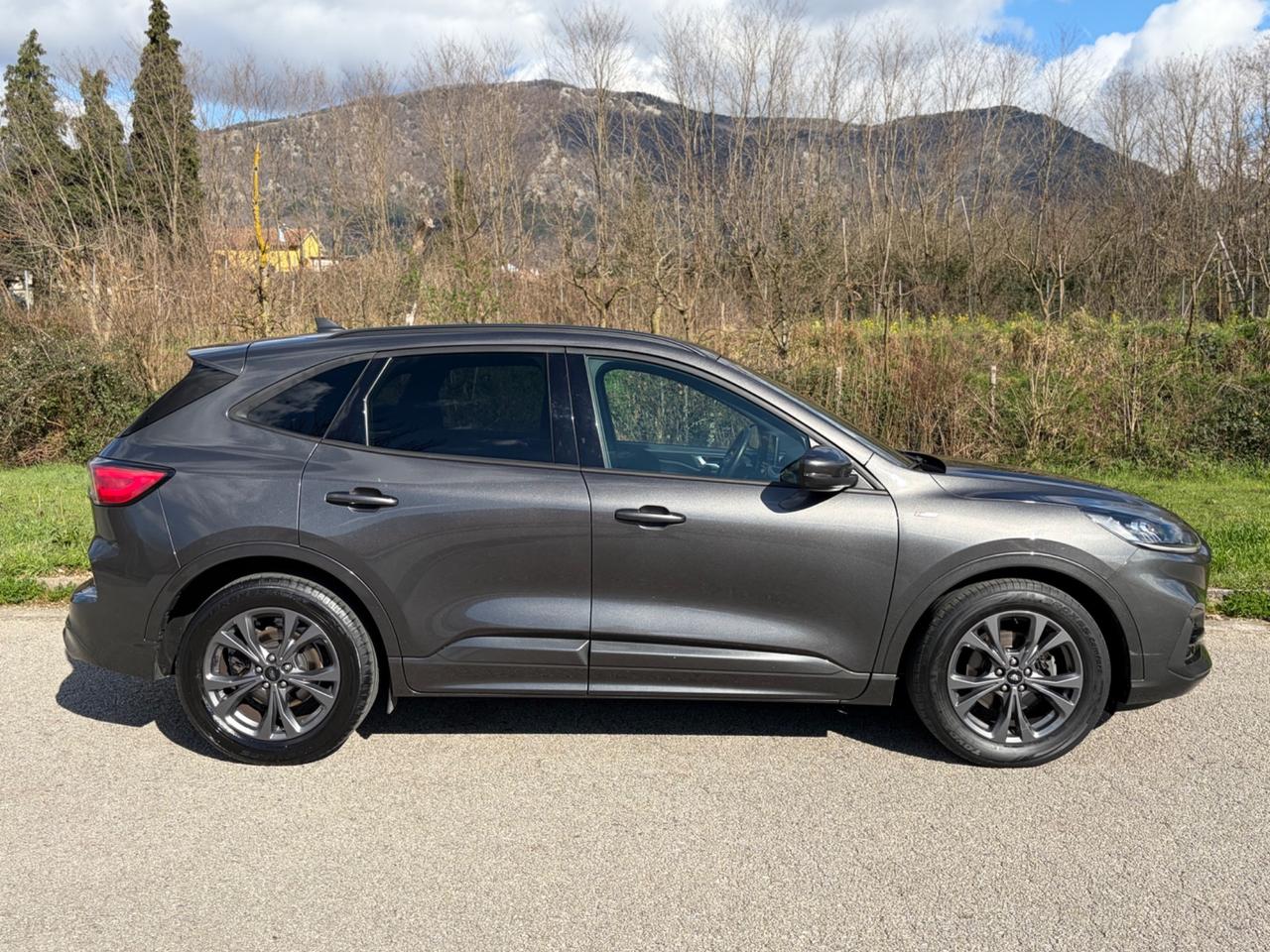 Ford Kuga 1.5 EcoBlue 120 CV 2WD ST-Line