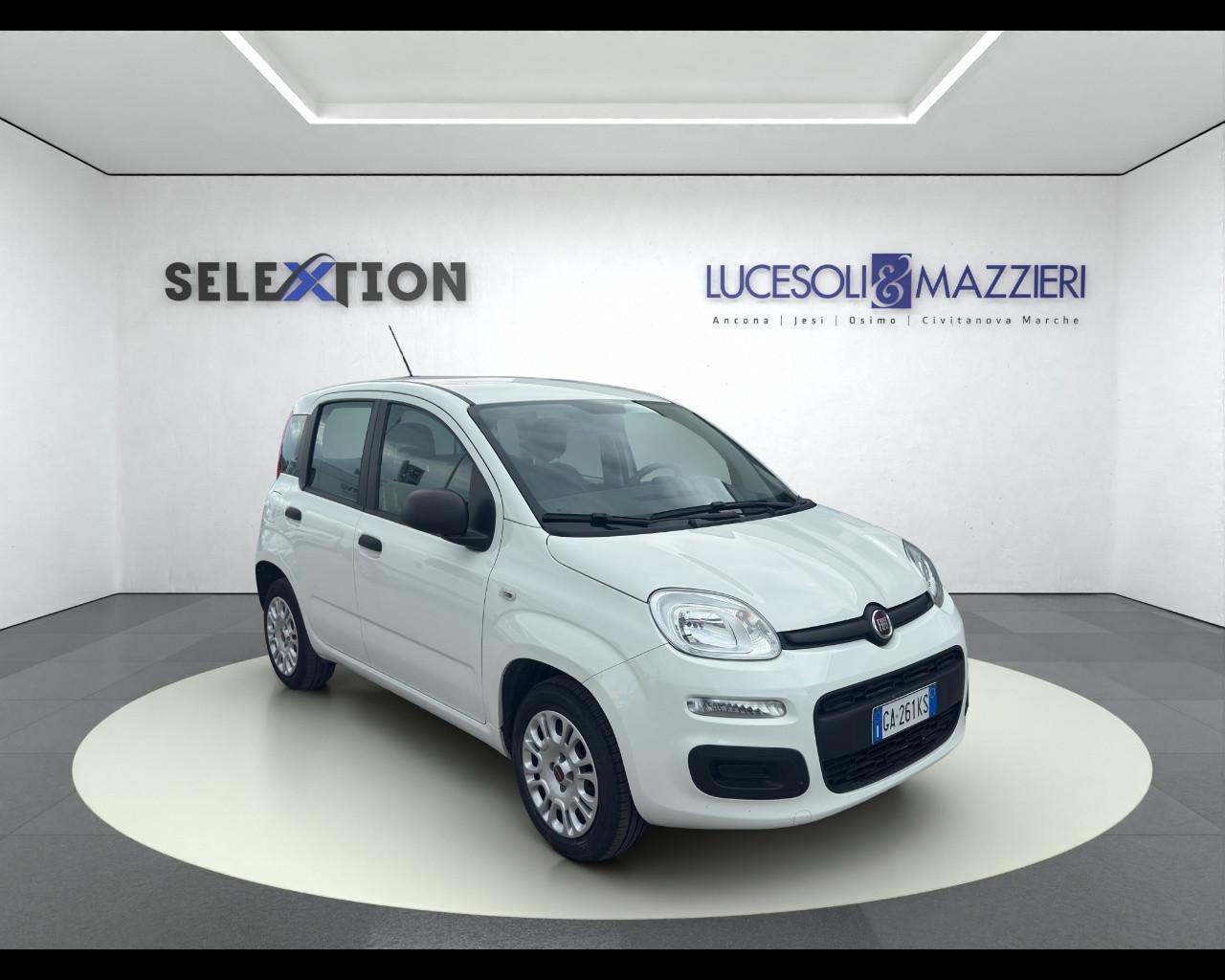 FIAT Panda 3ª serie - Panda 1.2 Easy