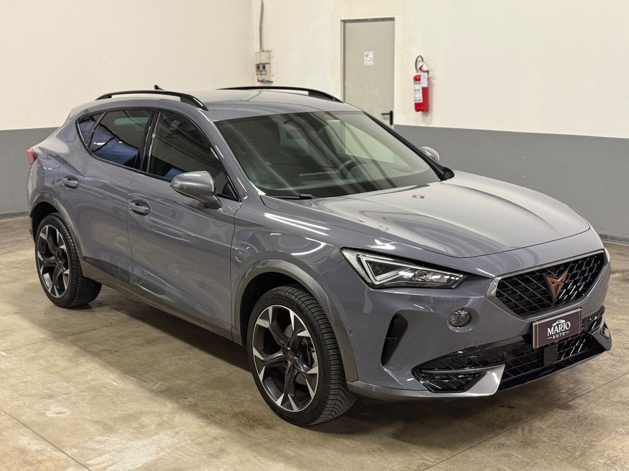 Cupra Formentor 2.0 TDI 4Drive DSG