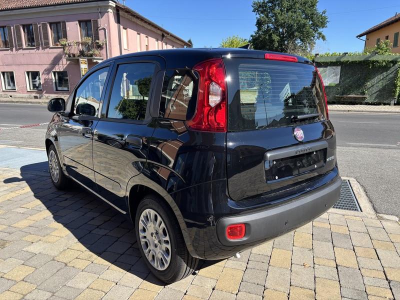 Fiat Pandina 1.0 firefly hybrid Icon s&s 65cv