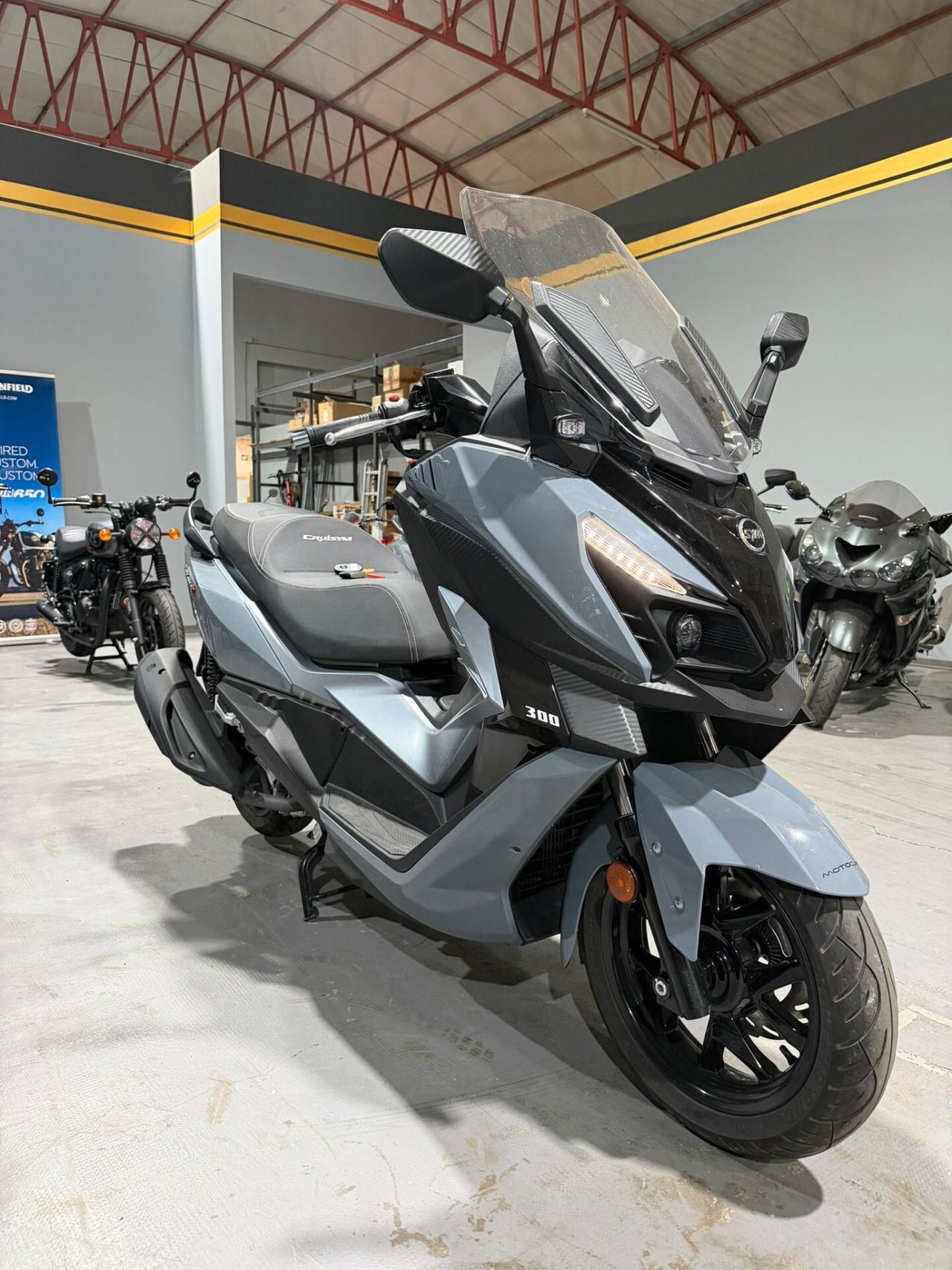 Sym Cruisym 300 alpha